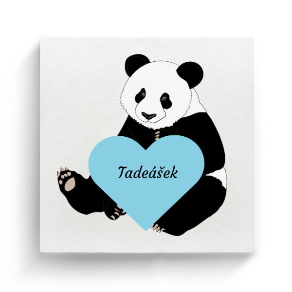 Fotoplátno čtverec s potiskem Fotoplátno - Panda modré srdce - se jménem
