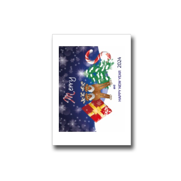 Vánoční přání -  XMAS sobi